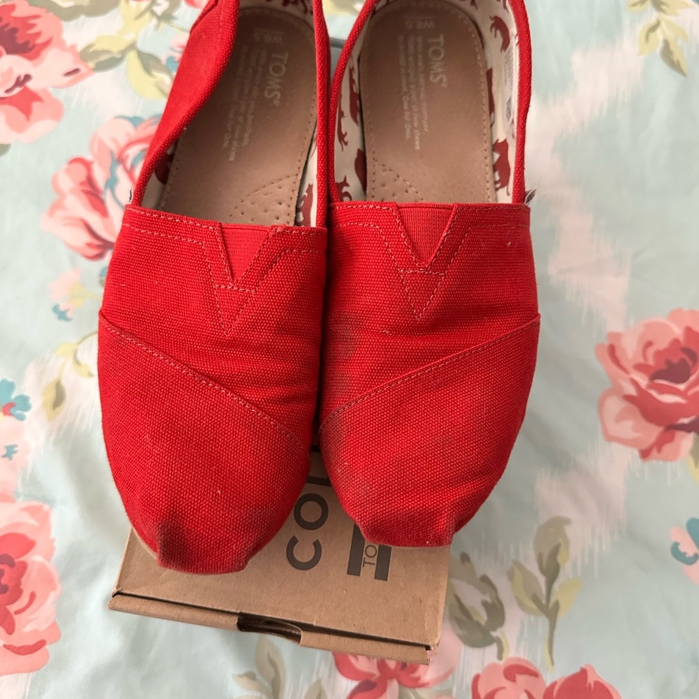 Red Toms - Picture 8 of 8